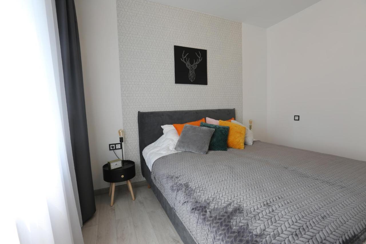 Comfy 2 Room Apartment - Free Parking - 350Mbps Wifi - Netflix Каунас Екстер'єр фото